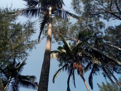 -北海市海滨公园