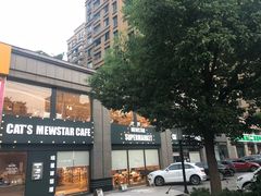 -CAT’S MEWSTAR CAFE·喵星球猫屋(晴湾咖啡店)
