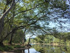 -西溪南古村落景区