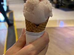 -莉莉熊Lililove Gelato (意大利手工冰淇淋)