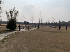-夏河溪乡野公园
