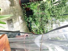 -先机泉水鸡汤(南山老君洞店)
