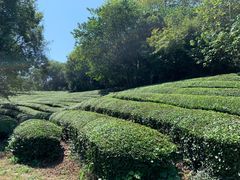 -敬亭山风景名胜区