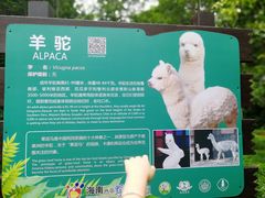 -海南热带野生动植物园