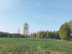 -四明山国家森林公园