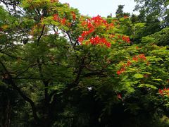 -晓港公园