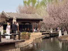 -春风习习