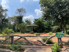-海南热带野生动植物园