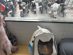 -芭比堂动物医院·心脏科·老年急重症·夜诊·吉雅分院