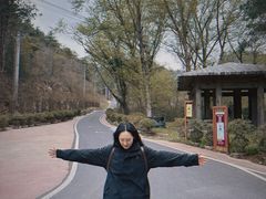 -木兰云雾山