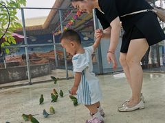 -芜湖新华联大白鲸海洋公园