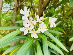 -狼山风景名胜区