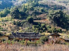 -福建土楼（华安）旅游区•大地土楼群