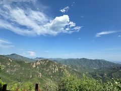 -大岭沟猕猴桃谷风景区