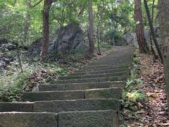 -九曜山