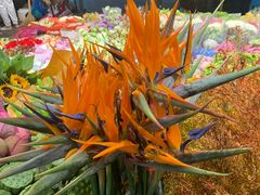 -双季花艺园艺市场(浦东店)