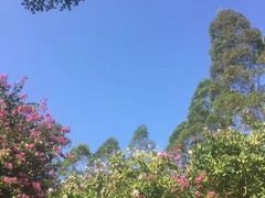 -火炉山森林公园