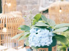 -MOJ coffee(瓯海泽雅水碓坑店)