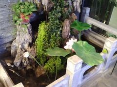 -知足堂养生会所(碑亭巷店)