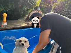 -汪说喵讲宠物乐园宠物酒店(红星美凯龙店)