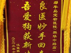 -半岛宠物医院24小时(科华中路店)