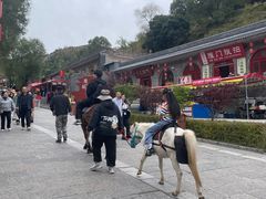 -雁门关景区