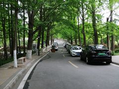 -八大关景区