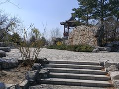 -大兴滨河森林公园