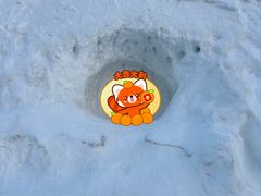 -沈阳奥体冰雪嘉年华
