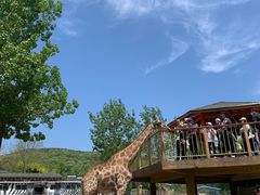 -大连森林动物园