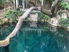 -蝴蝶泉公园