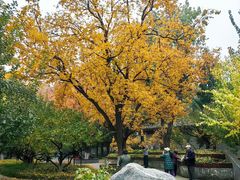 -玲珑塔公园