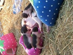 android_upload_pic-万达广场(南京江宁店)