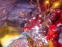 -沈阳海洋探索中心