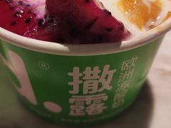 -Salud撒露欧洲冻酸奶(五道口购物中心店)