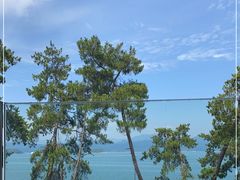 -宝荣鱼馆·临湖之宴(千岛湖店)