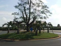 -东寨港红树林旅游区