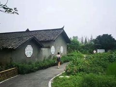 -桤木河湿地公园