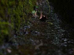 -西岭雪山大飞水景区