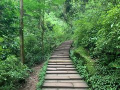 -青城山