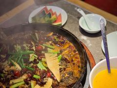 -老板恋上鱼(恒隆广场店)