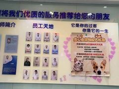 -全心全意连锁动物医院·特色中医诊疗(会城门分院)