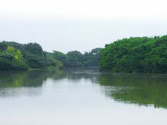 景点-大湾区中央湿地公园