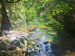 -雁荡山风景名胜区