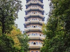 -灵谷景区
