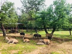-西安秦岭野生动物园