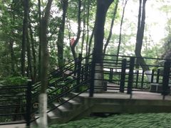 -广州市帽峰山景区