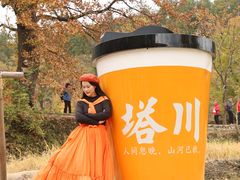 -塔川景区