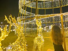 -海南清水湾莱佛士酒店