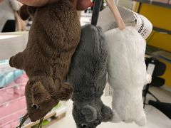 -宜家家居(哈尔滨商场店)